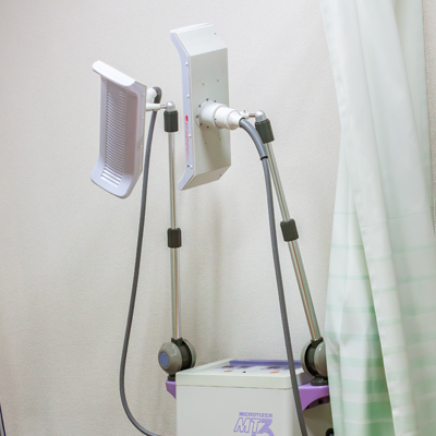 マイクロウェーブ